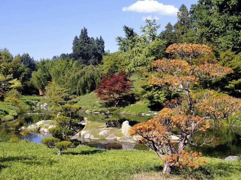 bambouseraie-anduze-jardin-japonais
