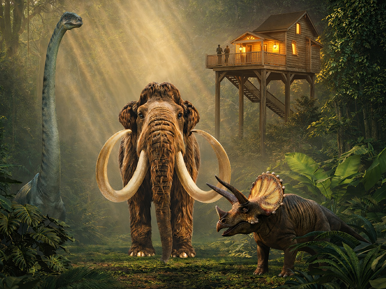 nuit-tribu-vu-cabanne-peaugres