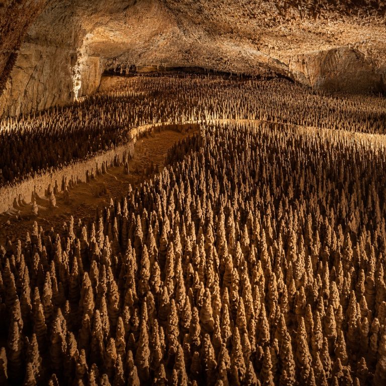 Formation des 100 000 soldats dans la Grotte de Trabuc