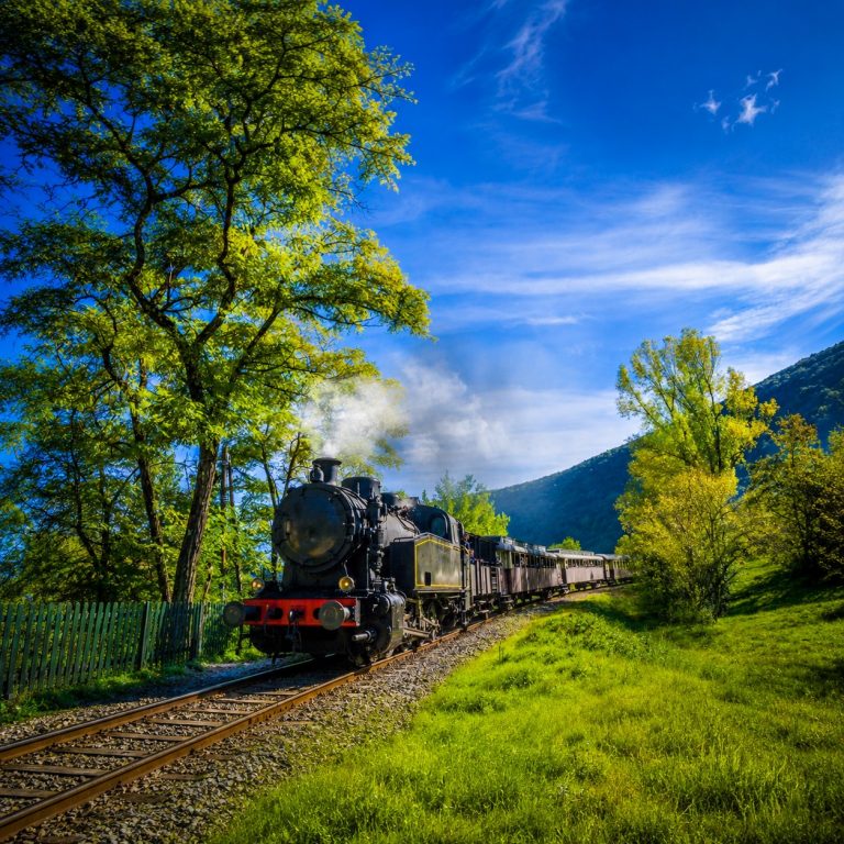 Train à Vapeur des Cévennes traversant un paysage verdoyant