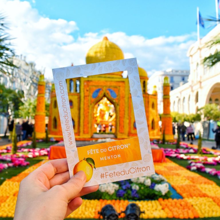 Exposition d’agrumes dans les Jardins Biovès pendant la Fête du Citron à Menton
