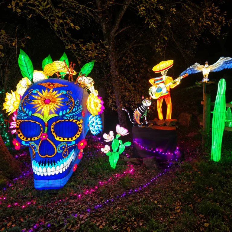 Crâne mexicain fleuri, squelette musicien et cactus lumineux sur le parcours nocturne des Lumières Sauvages.